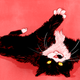 Illustration for article titled It's 2015, and Men Are Still Being Pussies About Eating Pussy